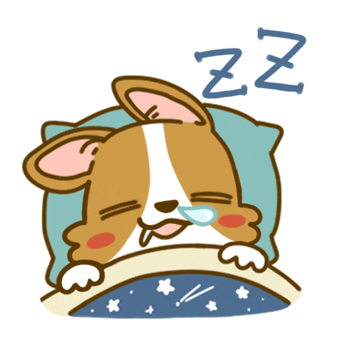 1【动图】_(4).png