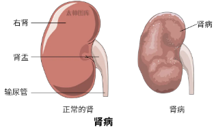 屏幕截图 2025-04-08 083738.png