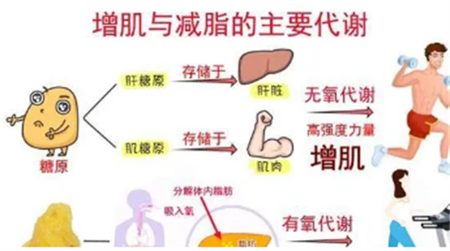c26cd72f06efb234afe6cc32790c0e1.png