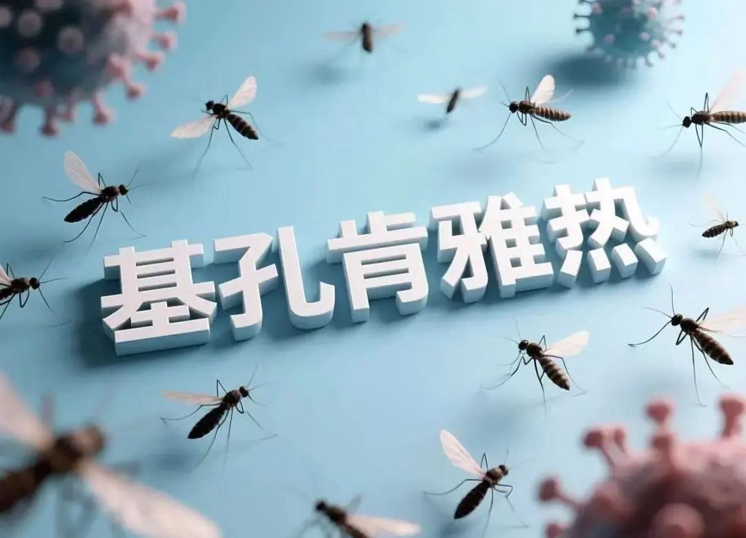 微信图片_20250804083056.jpg